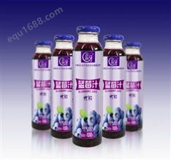 蓝莓果汁饮料生产线