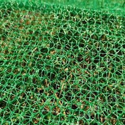 塑料护坡固土种草 绿化三维植被网