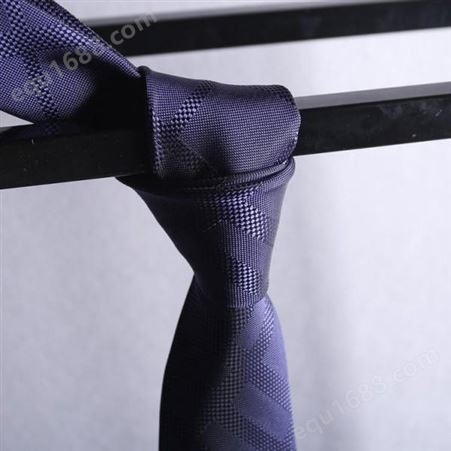 领带 名媛领带 生产厂家 和林服饰