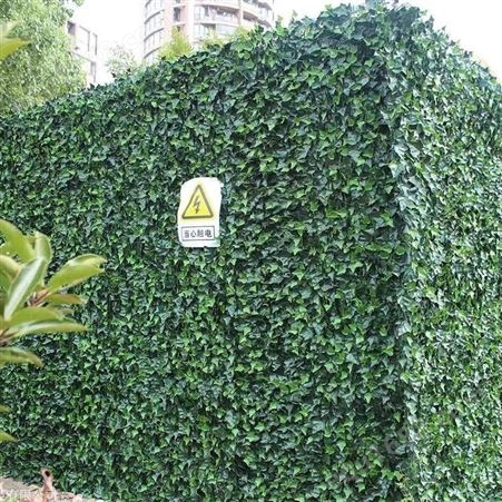 无锡写字楼生态植物墙施工 室外外墙植物墙