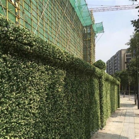 江苏植物墙施工 绿色仿真植物墙