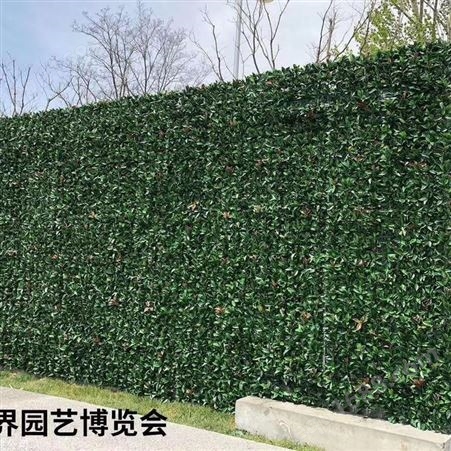 上海绿色生态植物墙 网红仿真植物墙