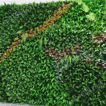 江苏室外生态植物墙定制 网红仿真植物墙