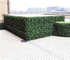 上海室外植物墙定制 绿色仿真植物墙