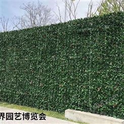 上海绿色植物墙 室外外墙植物墙