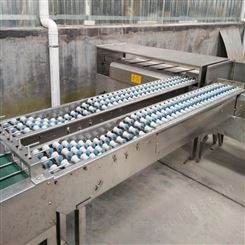 鼎力DLX5400小型鸡蛋分选机  鸭蛋分选机   重量分级机价格 蛋品分级机