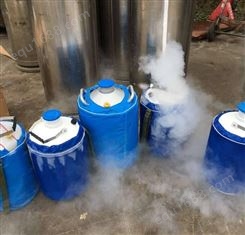 液氮罐充 美容用 送货上门 标本冷冻储存 鲁东气体 液态氮气