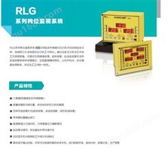 天津销售RLG系列吨位监视系统RLG-2
