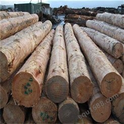 惠州松木 实木板材厂家批发松木条加工 各类规格户外碳化木