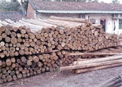 东莞杉木无节材 大量杉木供应 专业加工杉木