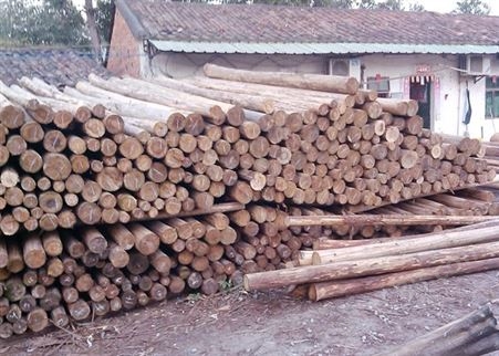 东莞杉木供应商 建筑家具装修板材原杉木定制 杉木木方价格
