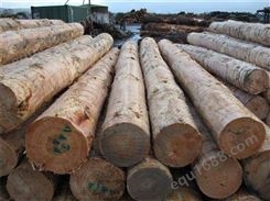 梅州松木价格 室外松木 各类规格户外碳化木