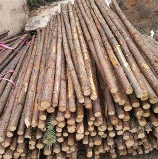 专业加工杉木绿化杆   杉木绿化杆定制  杉木绿化杆厂家