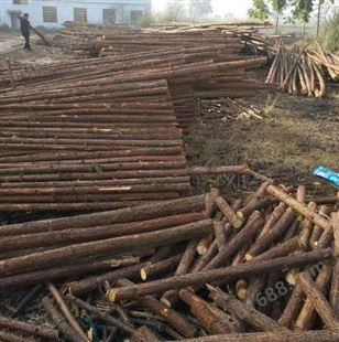 杉木绿化杆什么价格   杉木绿化杆定制  杉木绿化杆厂家