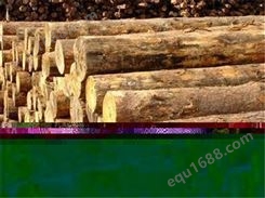 松木什么价格   实木板材厂家批发松木条加工  松木供应商