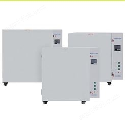 供应 上海 一恒 自然对流干燥箱 电热干燥箱 鼓风干燥箱 实验室干燥箱 立式干燥箱 型号BPG-9050AH