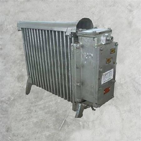 华煤机械 电压127V隔爆电取暖器 RB-2000/127V防爆取暖器 支架稳定