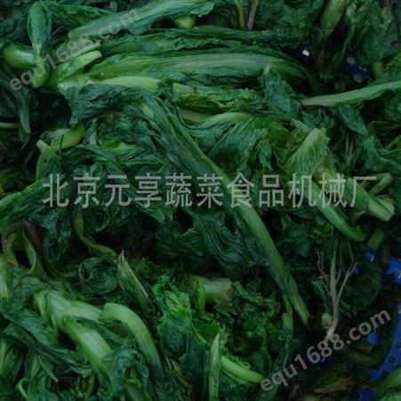 北京全自动蔬菜漂烫脱水机-精创品牌-元享机械生产厂家