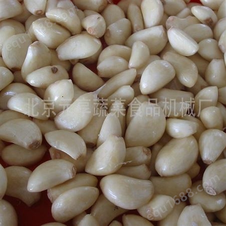 北京土豆清洗机-白薯去皮设备-元享机械