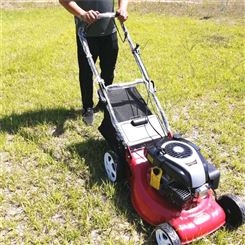 大容量汽油草坪修剪机 花圃园林草坪修剪机 便携式花园剪草机