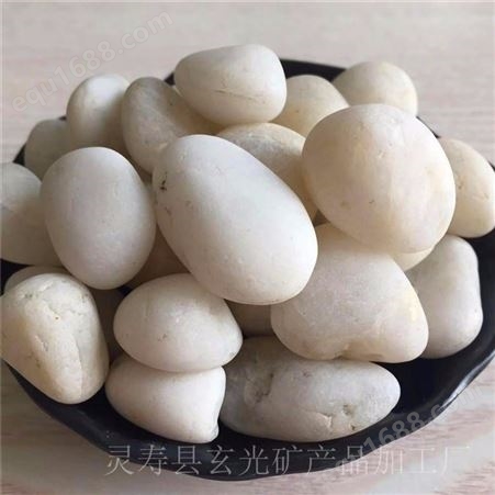 河北雨花石价格 天津白色鹅卵石 玄光生产园艺机制石 白色石材石料