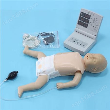 知能心肺复苏模型 BIX/CPR480 厂家供应