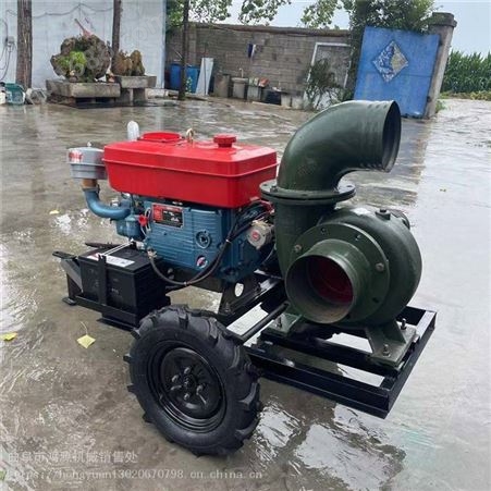 电机柴油抽水泵 6寸自吸排污泵 便携式汽柴油灌溉抽水泵