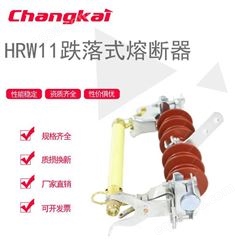 HRW11/200A户外10KV高压户外跌落式熔断器保险丝令克开关